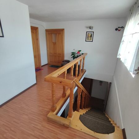 Camere De Inchiriat Edelweiss Dumbrava Roşie Eksteriør bilde